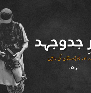 سفرِ جدوجہد: حیدر اور بلوچستان کی راہیں ۔ امیر الملک