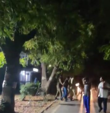 لاہور جمعیت کا بلوچ طلباء پر تشدد، پانچ طلباء زخمی