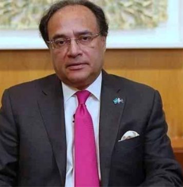 کراچی میں ہلاک چینی انجینئرز سے ٹیرف میں کمی پر مذاکرات جاری تھے، پاکستانی وزیر خزانہ