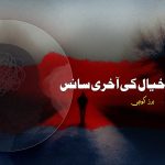 بے سمت خیال کی آخری سانس ۔ برزکوہی