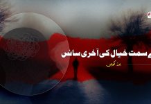 بے سمت خیال کی آخری سانس ۔ برزکوہی