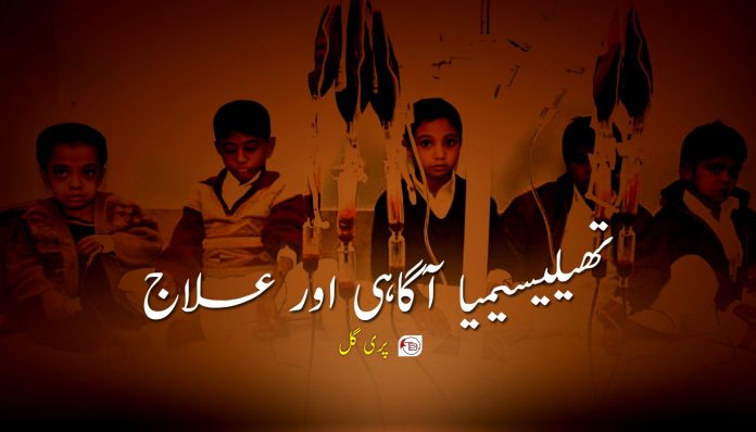 WhatsApp Image 2025-11-29 at 12.42.29_0fe7b481