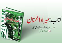 میرا داغستان – تبصرہ: ارشاد شمیم