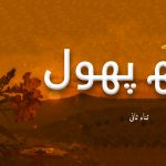 مزاحمت کے کچھ پھول ۔ ثناء ثانی