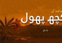 مزاحمت کے کچھ پھول ۔ ثناء ثانی