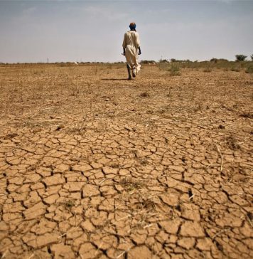 معمول سے کم بارشیں: بلوچستان شدید خشک سالی کی لپیٹ میں