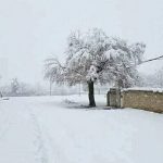 بلوچستان میں برفباری سے سڑکیں بند، تیس سالہ سردی کا ریکارڈ ٹوٹ گیا