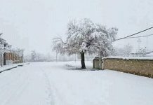 بلوچستان میں برفباری سے سڑکیں بند، تیس سالہ سردی کا ریکارڈ ٹوٹ گیا