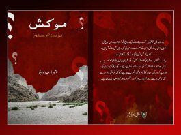 بلوچ لبریشن آرمی کے سربراہ بشیر زیب بلوچ کی کتاب “موکش” شائع