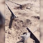 بلوچستان: ریلوے ٹریکس پُل 14 مقامات پر دھماکوں میں تباہ