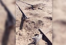 بلوچستان: ریلوے ٹریکس پُل 14 مقامات پر دھماکوں میں تباہ