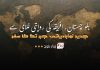 بلوچستان – افریقہ کی روایتی غلامی سے جدید نوآبادیاتی جبر تک کا سفر – زربار بلوچ