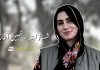 شہناز ابتداء نہیں آغاز – ڈاکٹر امیر بلوچ