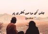 چلتن کی ہوا میں بکھری یاد – نودشان بلوچ