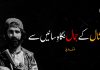شال کے جمال نگاہِ سائیں سے – نوھک بلوچ