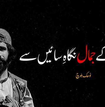 شال کے جمال نگاہِ سائیں سے – نوھک بلوچ
