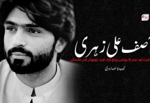آصف علی زہری: علم، انسانیت اور عزم کا روشن چراغ – ایک لاپتہ نوجوان کی داستان – نجیب یوسف زہری
