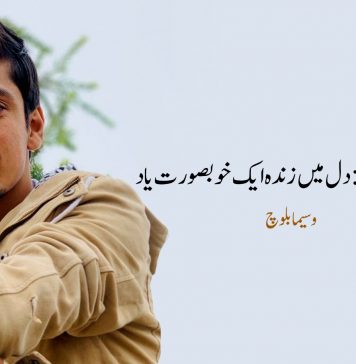 20 اگست: دل میں زندہ ایک خوبصورت یاد – وسیما بلوچ