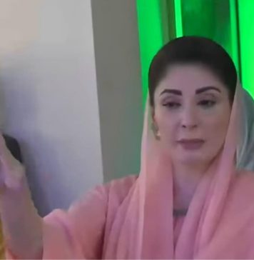 پنجاب کو ہمسایہ ممالک کی نسبت ہمسایہ صوبوں سے زیادہ خطرہ ہے۔ مریم نواز