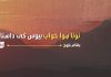 ٹوٹا ہوا خواب: بیوس کی داستان – بشام بلوچ