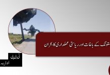 مستونگ کے باغات اور ریاستی عملداری کا بحران۔ ٹی بی پی اداریہ