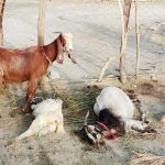 ہوت آباد میں گھر پر حملہ، علاقے میں فوجی آپریشن جاری