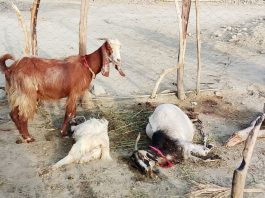 ہوت آباد میں گھر پر حملہ، علاقے میں فوجی آپریشن جاری