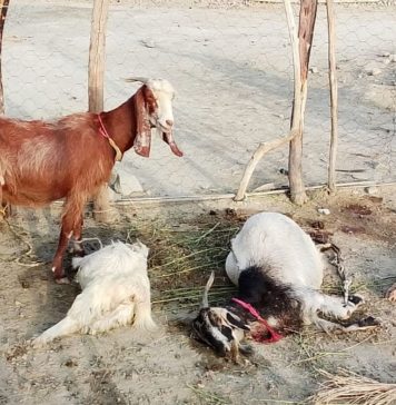 ہوت آباد میں گھر پر حملہ، علاقے میں فوجی آپریشن جاری