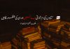 کتابوں کی دم توڑتی سانسیں اور ان کی منتظر نگاہیں – ملک عیسیٰ خان رند