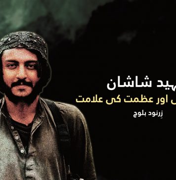 شہید شاشان: وفا، قربانی اور عظمت کی علامت – زِرنود بلوچ