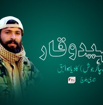 شہید وقار (عرف چاکر جوش) کا دیا ہوا سبق – شاری بلوچ