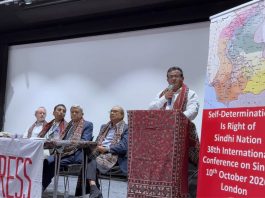بلوچ اور سندھی اقوام کے لیے قومی آزادی، سیاسی ہم آہنگی اور عملی تعاون ناگزیر ہے۔ ڈاکٹر نسیم بلوچ