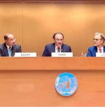پاکستان مقروض ممالک کے گروپ کا سربراہ مقرر