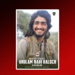 بی ایل اے نے جانبحق سرمچار غلام نبی بلوچ عرف بولانی کی تفصیلات جاری کردیں