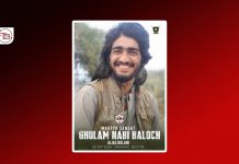بی ایل اے نے جانبحق سرمچار غلام نبی بلوچ عرف بولانی کی تفصیلات جاری کردیں