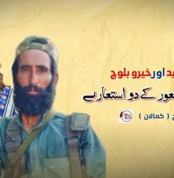 شہید کاکا رشید اور خیرو بلوچ، اجتماعی شعور کے دو استعارے – حمّل بلوچ ( کمالان)
